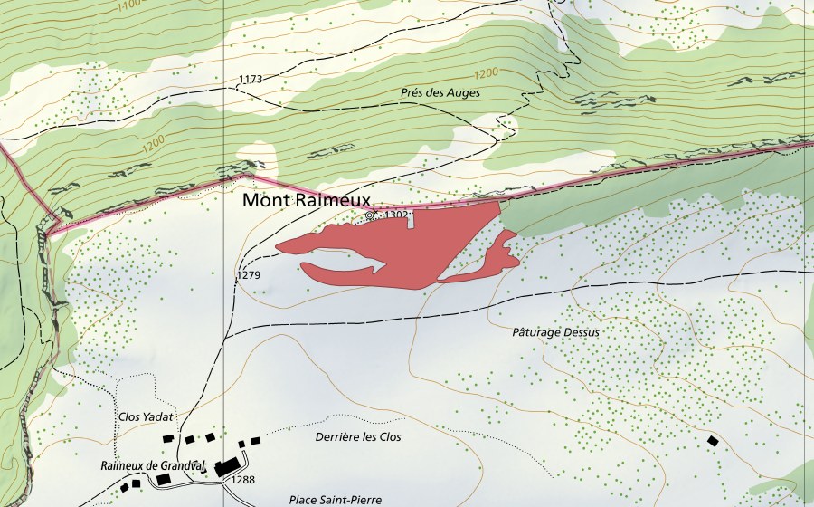 Landeskarte swisstopo mit dem Schutzperimeter von Pâturage Dessus (Trockenwiese)