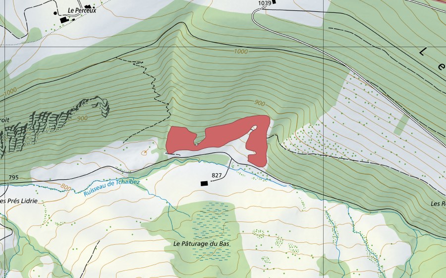 Landeskarte swisstopo mit dem Schutzperimeter von Pâturage du Bas (Trockenwiese)