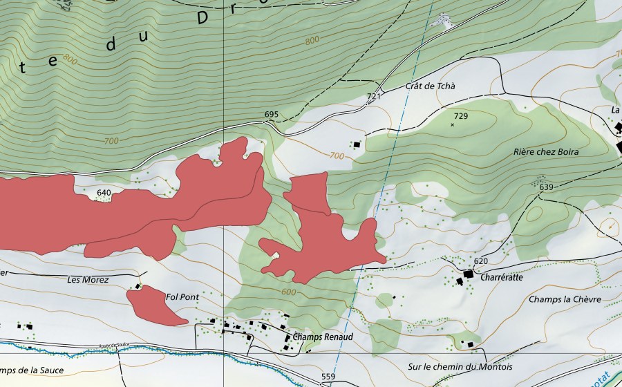 swisstopo national map showing the protected perimeter of Pâturage du Droit (Dry meadow)