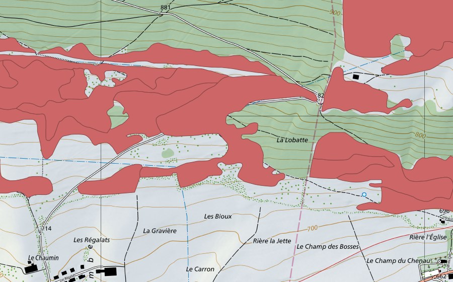 Carta nazionale swisstopo con il perimetro protetto di Pâturage du Droit (Prato secco)