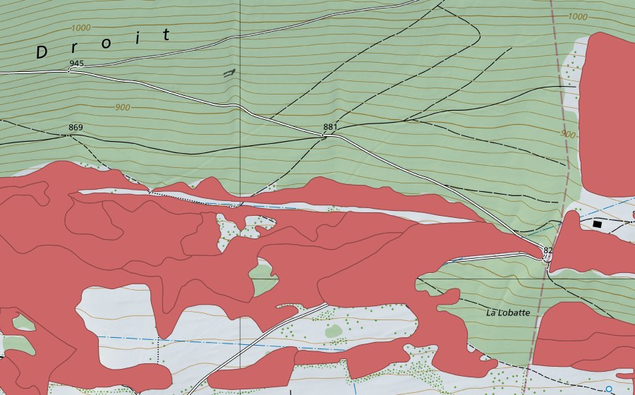 Landeskarte swisstopo mit dem Schutzperimeter von Pâturage du Droit (Trockenwiese)