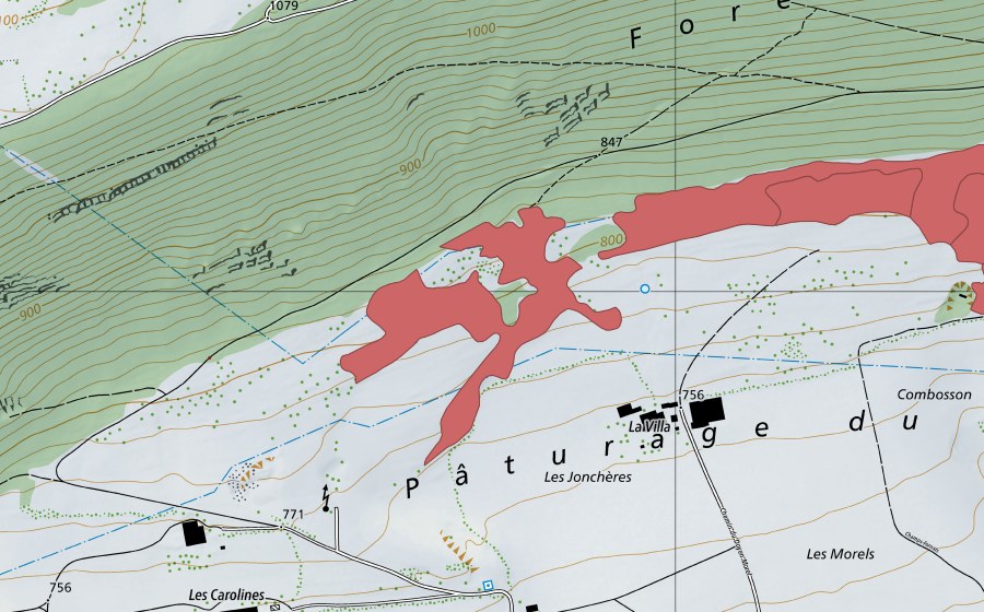 swisstopo national map showing the protected perimeter of Pâturage du Droit (Dry meadow)