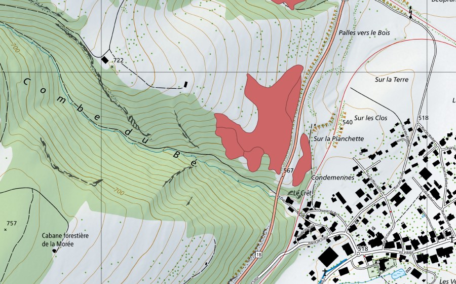 swisstopo national map showing the protected perimeter of Pâturage du Droit (Dry meadow)