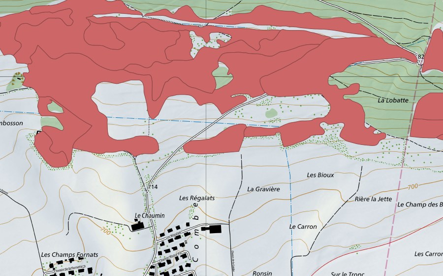 Landeskarte swisstopo mit dem Schutzperimeter von Pâturage du Droit (Trockenwiese)