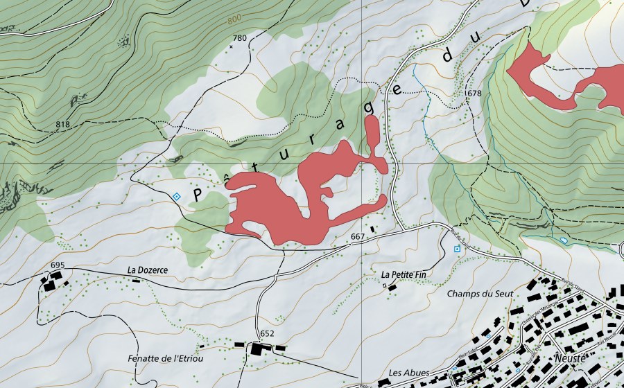 Landeskarte swisstopo mit dem Schutzperimeter von Pâturage du Droit (Trockenwiese)