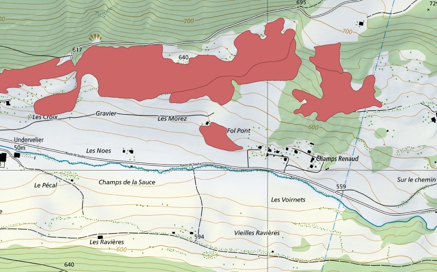 swisstopo national map showing the protected perimeter of Pâturage du Droit (Dry meadow)