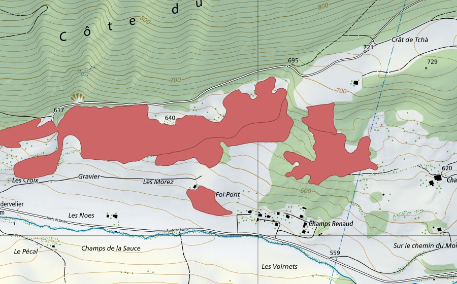 Carta nazionale swisstopo con il perimetro protetto di Pâturage du Droit (Prato secco)