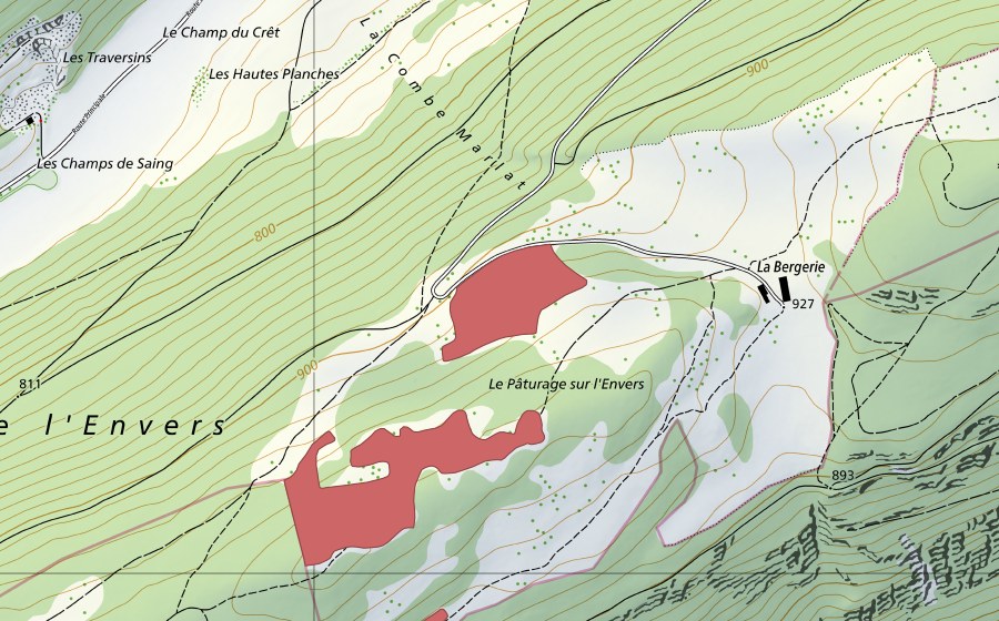 Landeskarte swisstopo mit dem Schutzperimeter von Pâturage sur l'Envers (Trockenwiese)