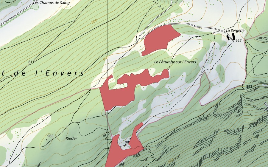 swisstopo national map showing the protected perimeter of Pâturage sur l'Envers (Dry meadow)