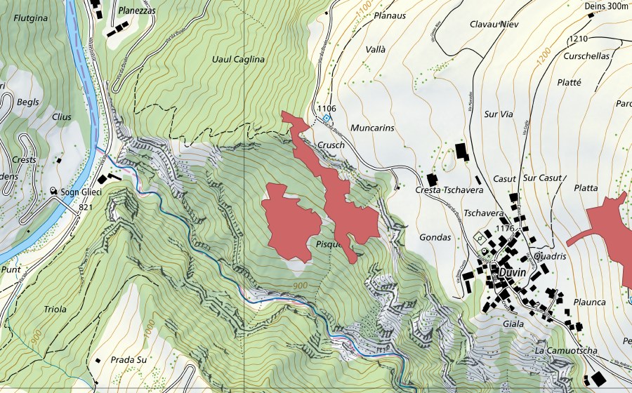 Carte nationale swisstopo avec le périmètre protégé de Peiden Boger (Prairie sèche)