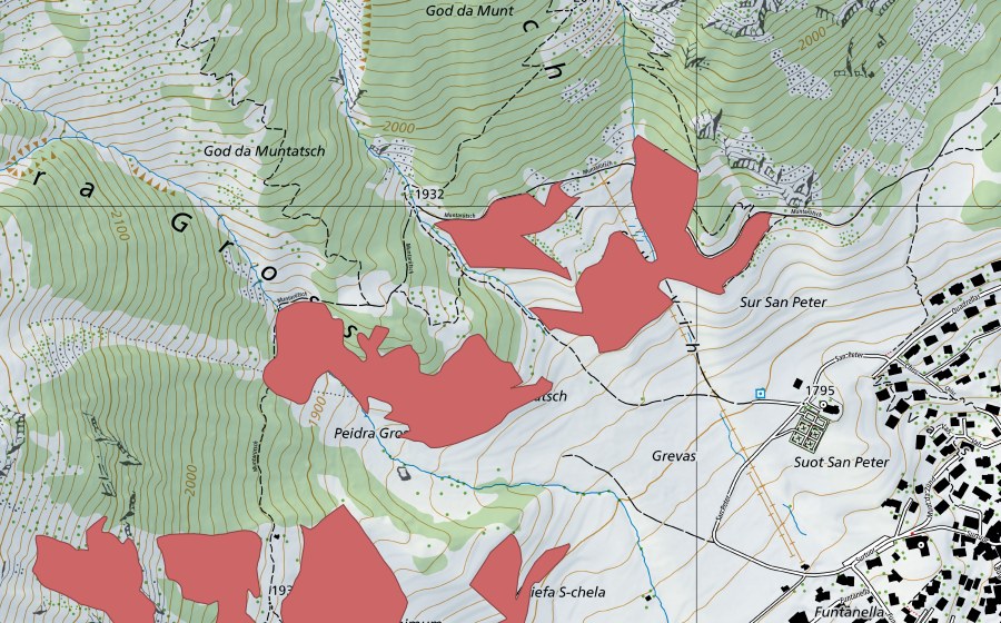 swisstopo national map showing the protected perimeter of Peidra Grossa (Dry meadow)