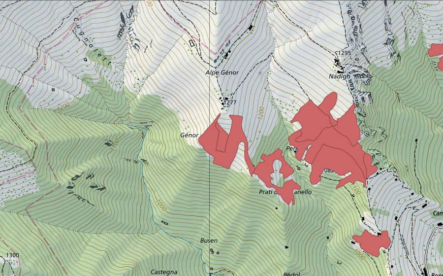 Landeskarte swisstopo mit dem Schutzperimeter von Peregai (Trockenwiese)