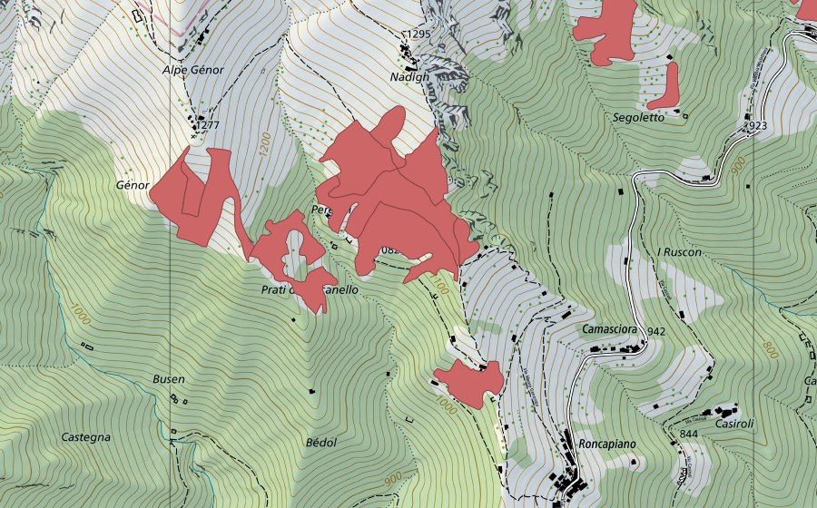 Landeskarte swisstopo mit dem Schutzperimeter von Peregai (Trockenwiese)