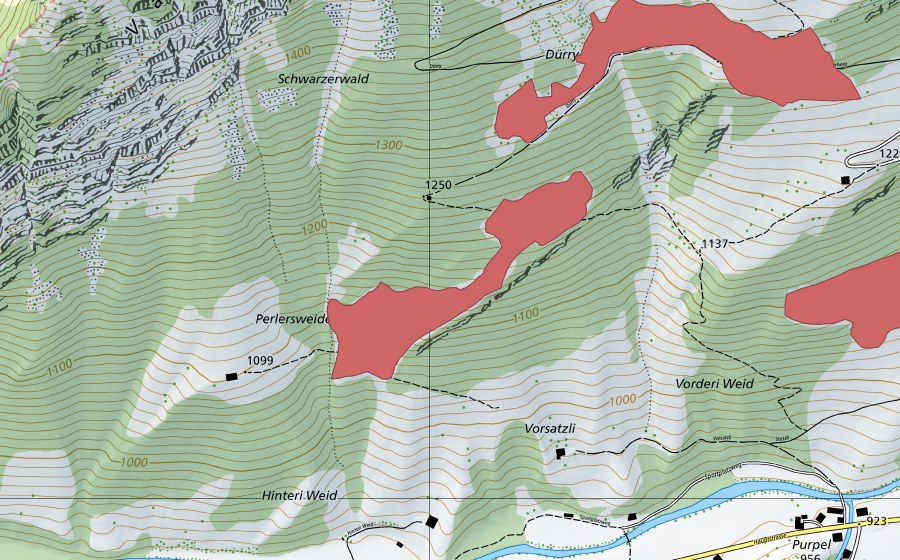 swisstopo national map showing the protected perimeter of Perlersweide (Dry meadow)