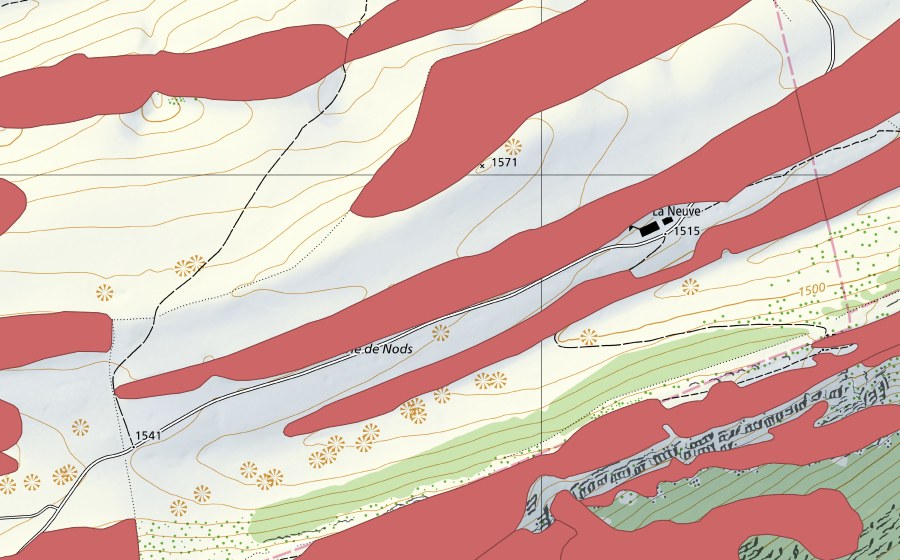 swisstopo national map showing the protected perimeter of Petit Chasseral (Dry meadow)