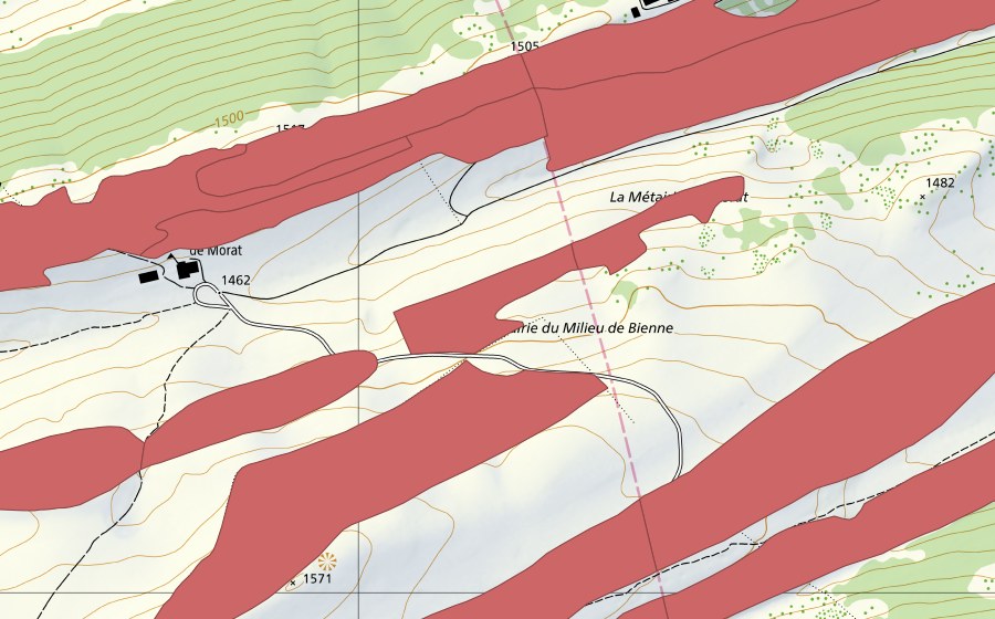 swisstopo national map showing the protected perimeter of Petit Chasseral (Dry meadow)