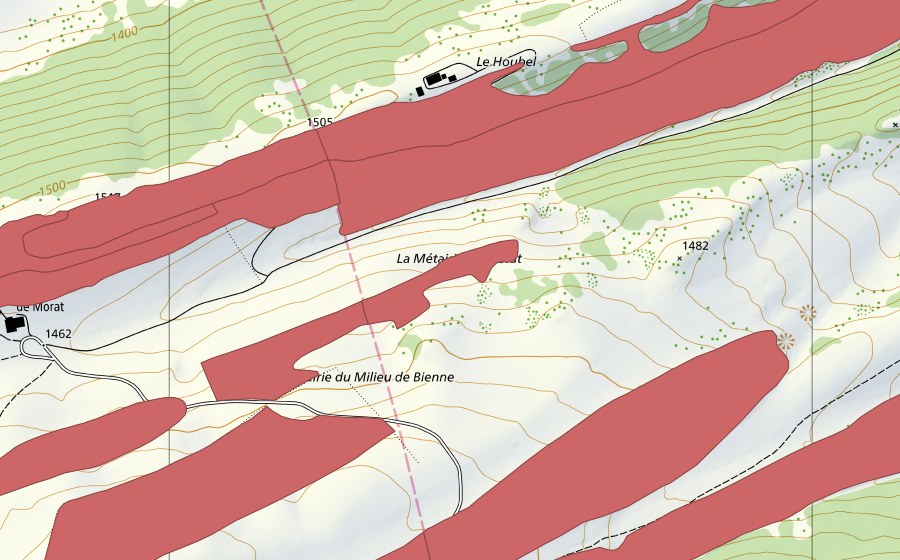 swisstopo national map showing the protected perimeter of Petit Chasseral (Dry meadow)