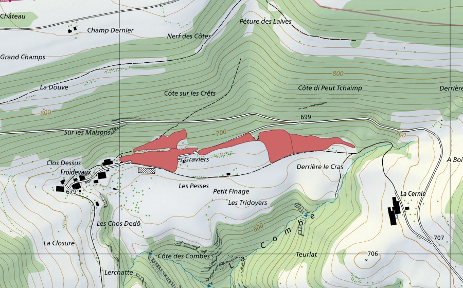 swisstopo national map showing the protected perimeter of Petit Finage (Dry meadow)