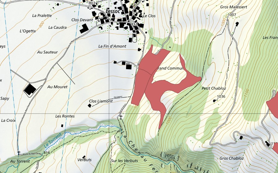 Landeskarte swisstopo mit dem Schutzperimeter von Petit Malessert (Trockenwiese)