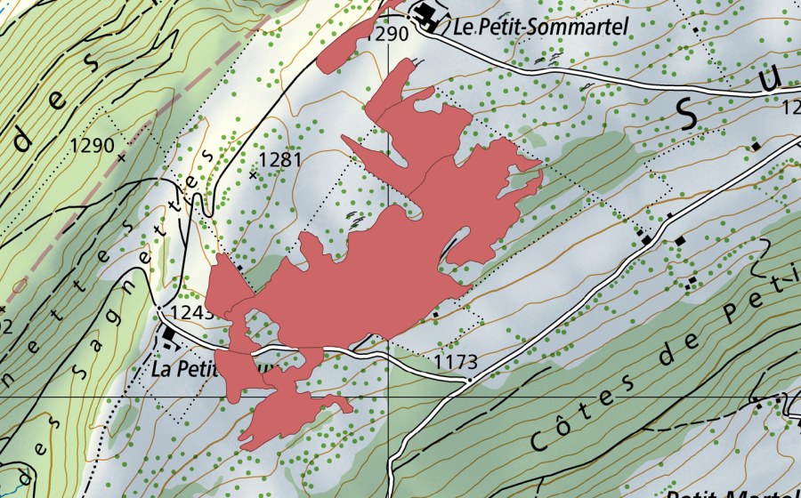 swisstopo national map showing the protected perimeter of Petit Som Martel (Dry meadow)