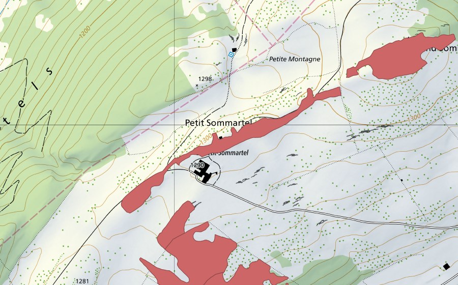 swisstopo national map showing the protected perimeter of Petit Som Martel (Dry meadow)
