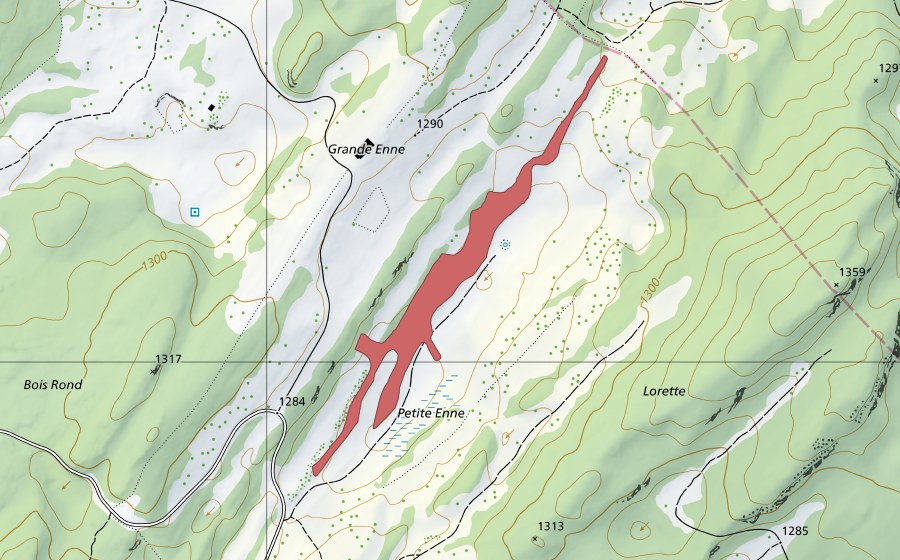 swisstopo national map showing the protected perimeter of Petite Enne (Dry meadow)