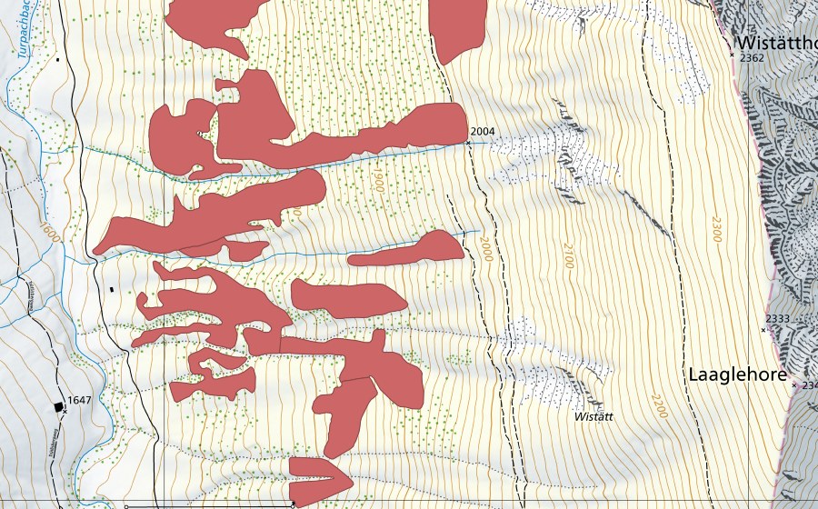 swisstopo national map showing the protected perimeter of Pfaffebergmäder (Dry meadow)