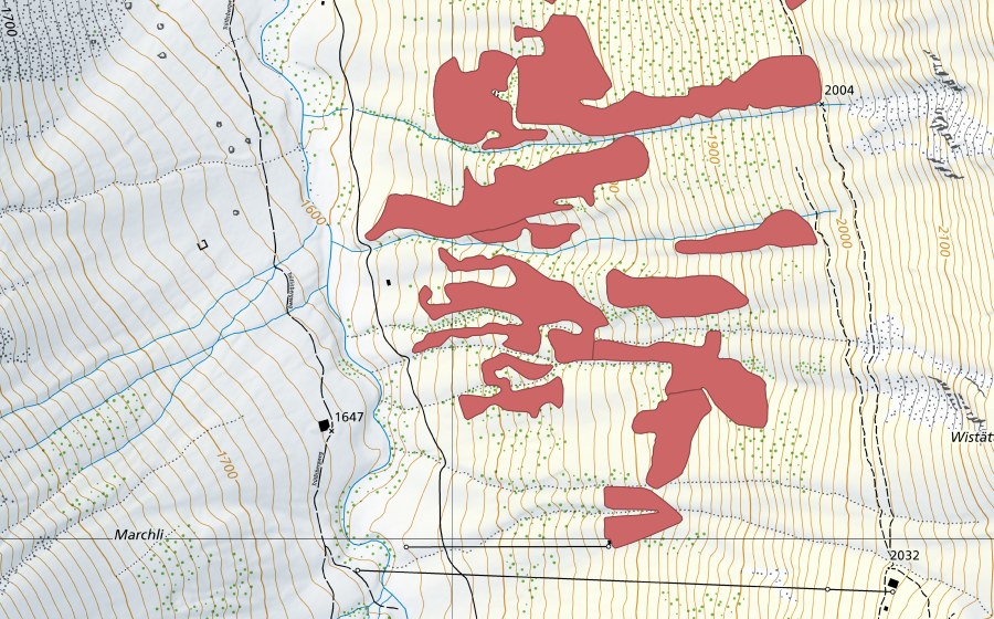 Carte nationale swisstopo avec le périmètre protégé de Pfaffebergmäder (Prairie sèche)