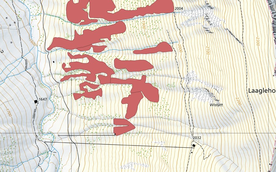 Carte nationale swisstopo avec le périmètre protégé de Pfaffebergmäder (Prairie sèche)