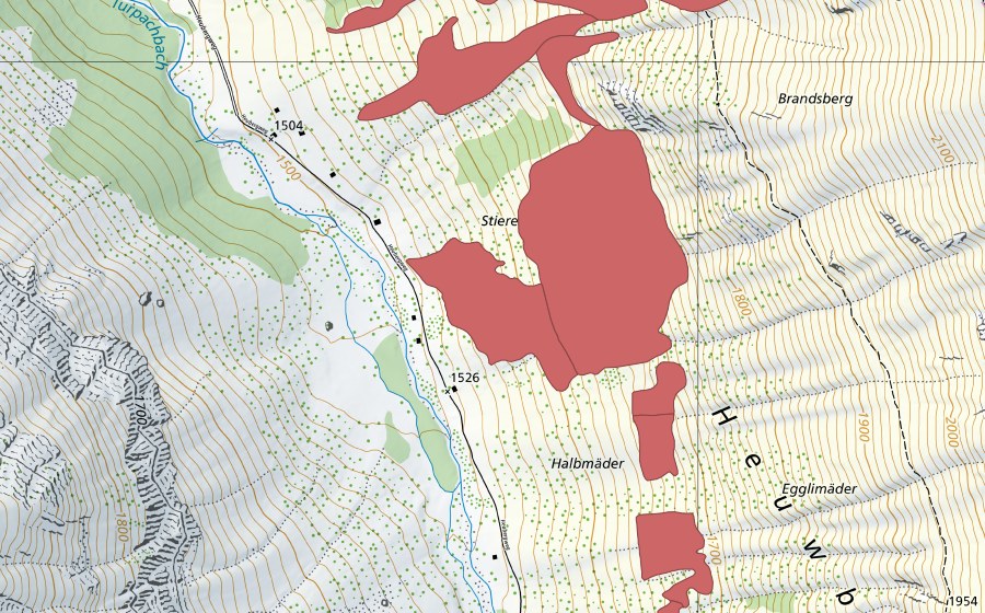 Landeskarte swisstopo mit dem Schutzperimeter von Pfaffebergmäder (Trockenwiese)