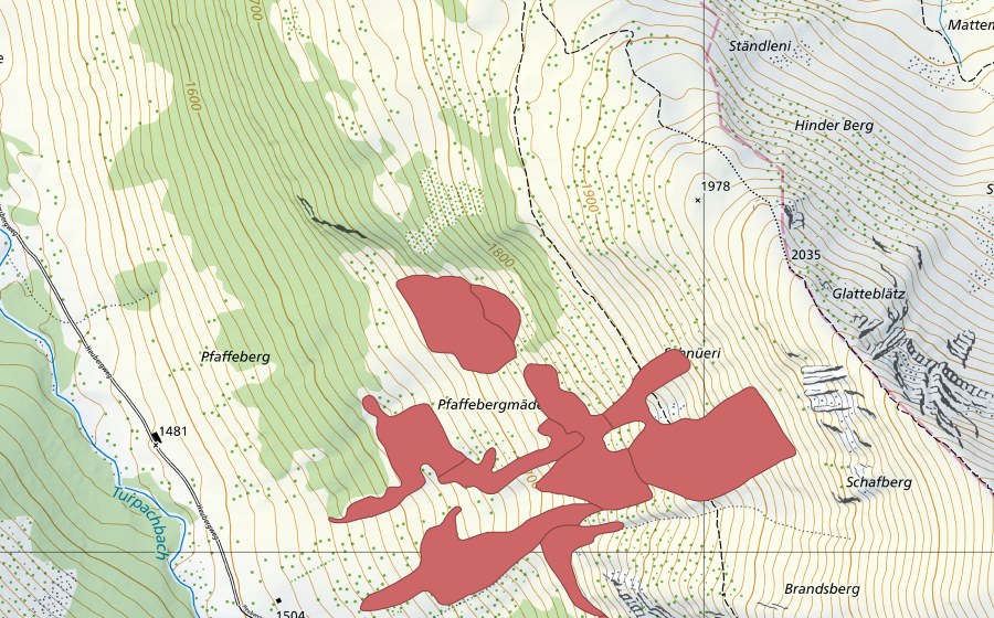 swisstopo national map showing the protected perimeter of Pfaffebergmäder (Dry meadow)