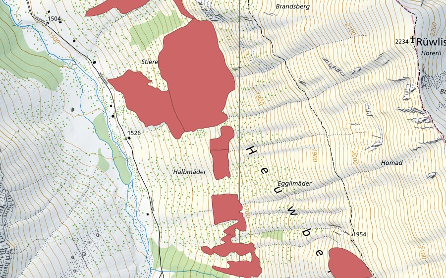 swisstopo national map showing the protected perimeter of Pfaffebergmäder (Dry meadow)