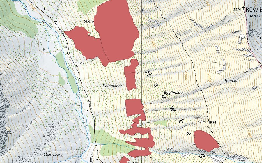Landeskarte swisstopo mit dem Schutzperimeter von Pfaffebergmäder (Trockenwiese)
