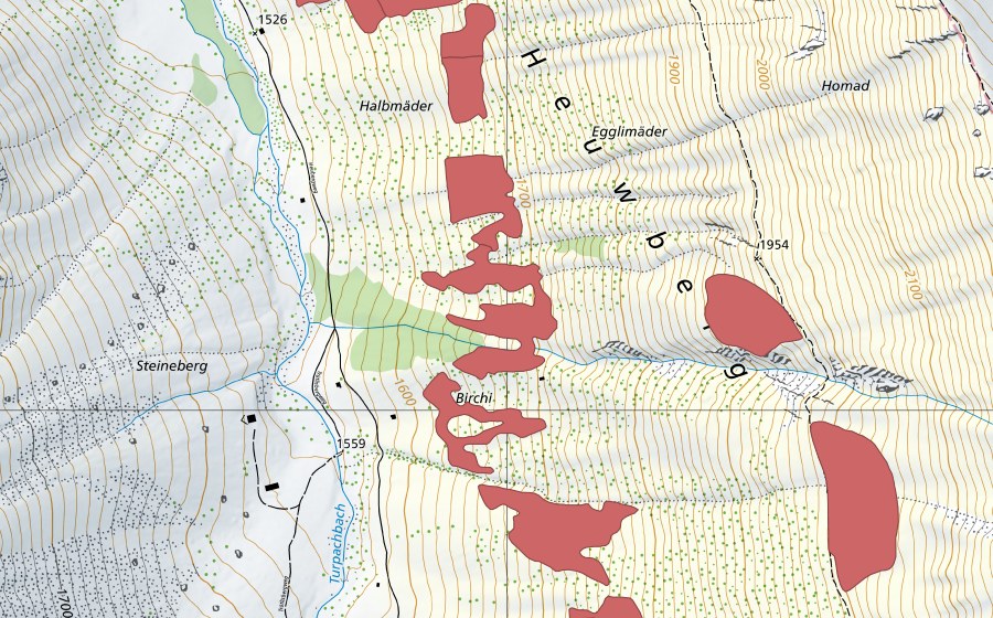 Landeskarte swisstopo mit dem Schutzperimeter von Pfaffebergmäder (Trockenwiese)