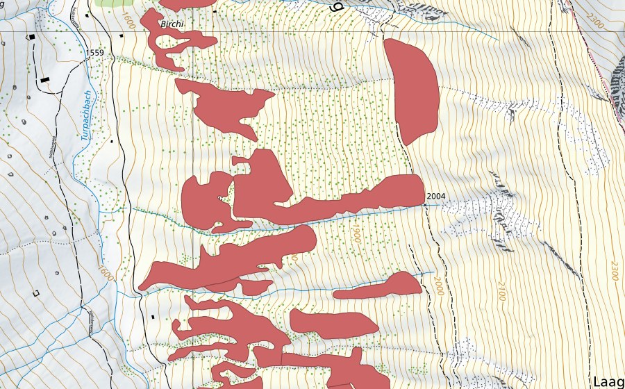Landeskarte swisstopo mit dem Schutzperimeter von Pfaffebergmäder (Trockenwiese)