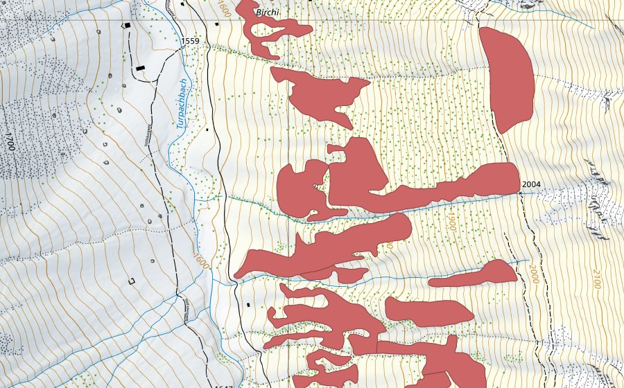 Landeskarte swisstopo mit dem Schutzperimeter von Pfaffebergmäder (Trockenwiese)