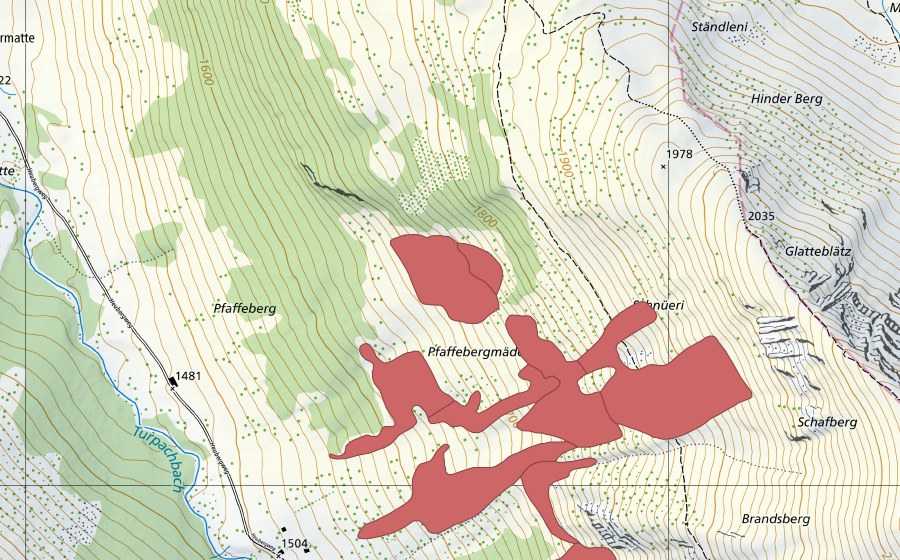 Landeskarte swisstopo mit dem Schutzperimeter von Pfaffebergmäder (Trockenwiese)