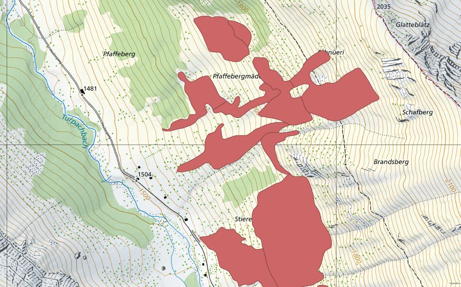 Carte nationale swisstopo avec le périmètre protégé de Pfaffebergmäder (Prairie sèche)