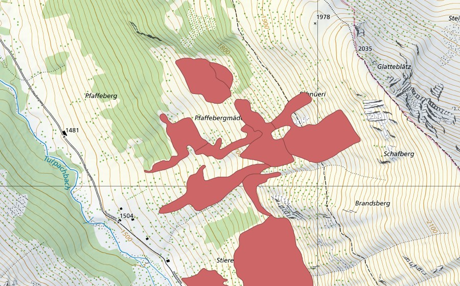 swisstopo national map showing the protected perimeter of Pfaffebergmäder (Dry meadow)