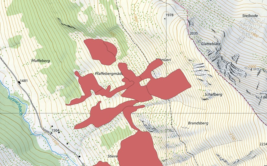 Landeskarte swisstopo mit dem Schutzperimeter von Pfaffebergmäder (Trockenwiese)