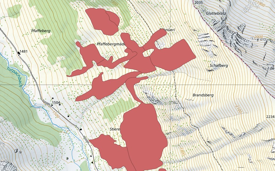 Landeskarte swisstopo mit dem Schutzperimeter von Pfaffebergmäder (Trockenwiese)