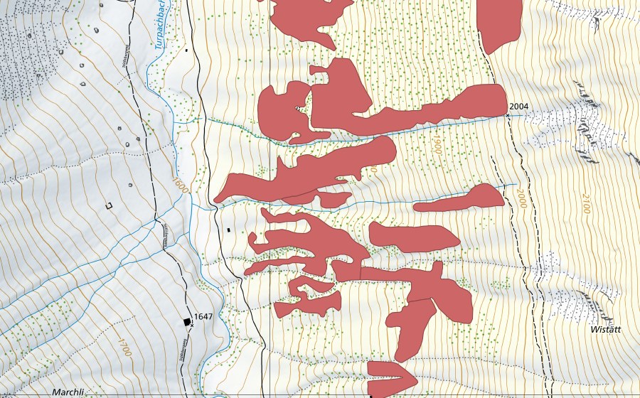 Landeskarte swisstopo mit dem Schutzperimeter von Pfaffebergmäder (Trockenwiese)