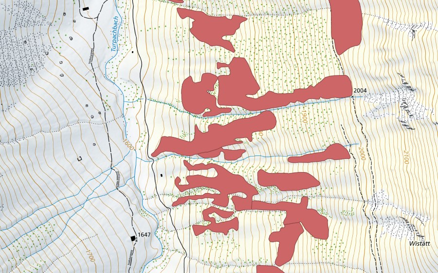Carte nationale swisstopo avec le périmètre protégé de Pfaffebergmäder (Prairie sèche)