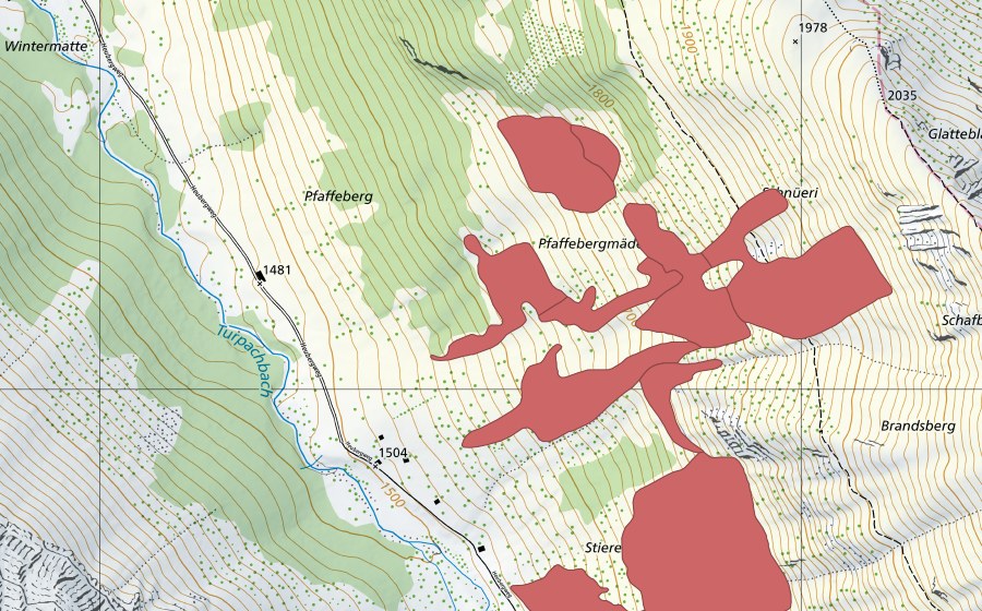 Carte nationale swisstopo avec le périmètre protégé de Pfaffebergmäder (Prairie sèche)