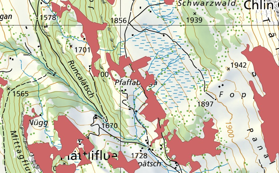 Landeskarte swisstopo mit dem Schutzperimeter von Pfaffenbarga (Trockenwiese)