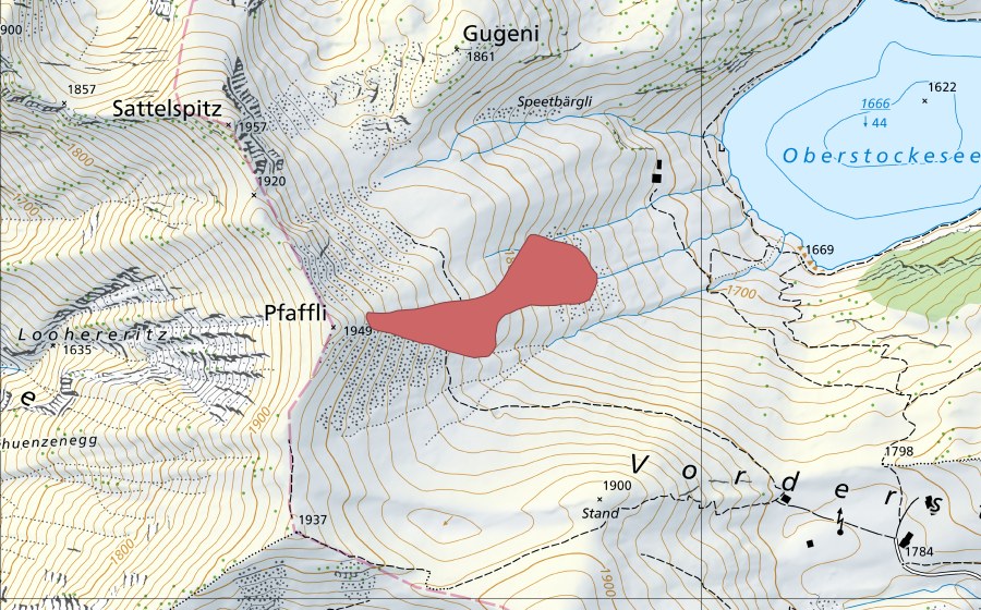 swisstopo national map showing the protected perimeter of Pfaffli (Dry meadow)