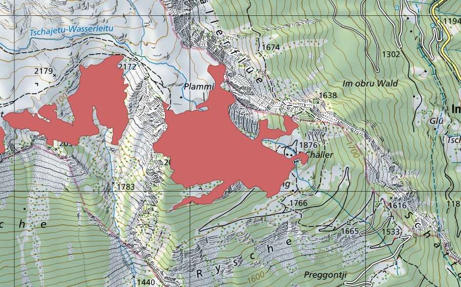 Landeskarte swisstopo mit dem Schutzperimeter von Pfarschong (Trockenwiese)