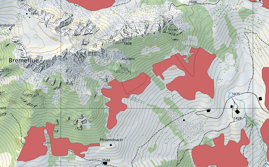 swisstopo national map showing the protected perimeter of Pfruendnacki (Dry meadow)