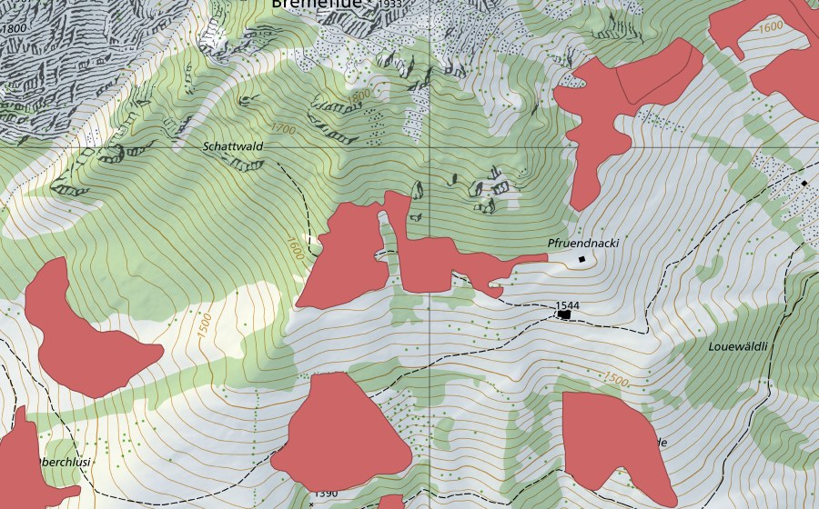 swisstopo national map showing the protected perimeter of Pfruendnacki (Dry meadow)