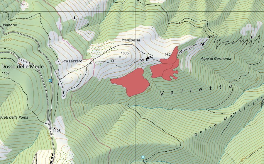 Landeskarte swisstopo mit dem Schutzperimeter von Pianspessa (Trockenwiese)